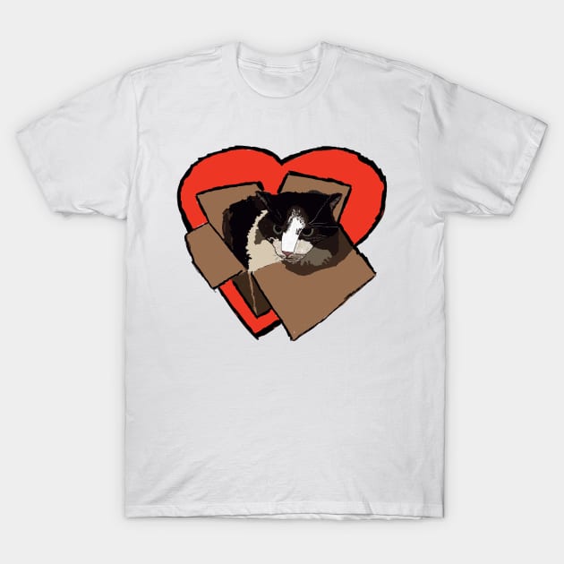 Box Cat Heart T-Shirt by CleggEmporium